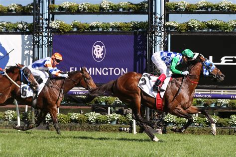 cantala stakes field